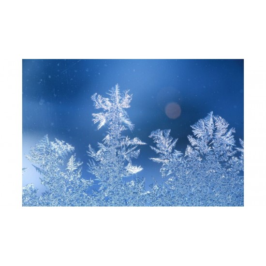 Biomed Vadgesztenye Krém Cool 60g