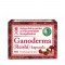 Dr.Chen Ganoderma (Reishi) Kapszula 60 Db