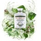 Dr.Immun 25 Gyógynövényes Hajsampon 250ml