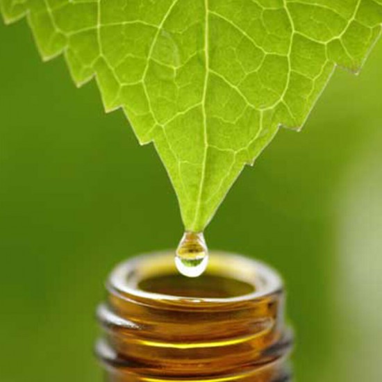 Dr.Immun Vérehullató Fecskefű Kivonat 30 Ml