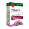 Interherb Napi 1 Valeriana Extraktum 250mg Kapszula 30db